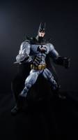 Thomas Wayne (Batman) (DC Universe) Custom Action Figure