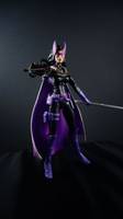 Huntress (DC Universe) Custom Action Figure