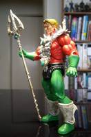 MOTU Aquaman (Masters of the Universe) Custom Action Figure
