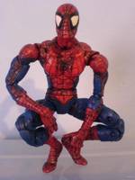Spiderman (Spider-Man) Custom Action Figure