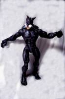 Wildcat (with Whiskers! ) (Justice League) Custom Action Figure