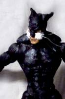 Wildcat (with Whiskers! ) (Justice League) Custom Action Figure