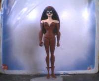 Crimson Fox (Justice League Unlimited) Custom Action Figure