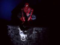 Roof Top Base (Spider-Man) Custom Diorama / Playset