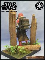 Imperial Firstorm Trooper (Star Wars) Custom Action Figure