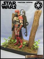 Imperial Firstorm Trooper (Star Wars) Custom Action Figure