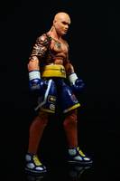Miguel Cotto (Boxing) Custom Action Figure
