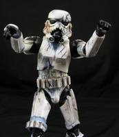 Death Trooper (Star Wars) Custom Action Figure