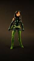 Madamn Hydra (Marvel Universe) Custom Action Figure
