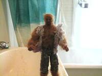 Wolfman (Halloween Horror Nights at Universal) Custom Action Figure