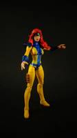 Jean Grey (Marvel Universe) Custom Action Figure