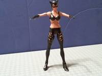 Catwoman (Halle Berry) (DC Universe) Custom Action Figure