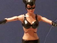 Catwoman (Halle Berry) (DC Universe) Custom Action Figure