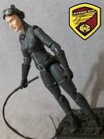 Catwoman (DC Infinite Heroes) Custom Action Figure