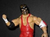 The Spoiler (Wrestling) Custom Action Figure