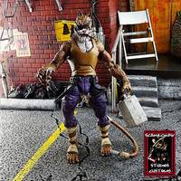 Old Hob (Teenage Mutant Ninja Turtles) Custom Action Figure