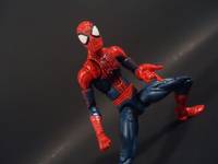 Spider-Man (Marvel Legends) Custom Action Figure