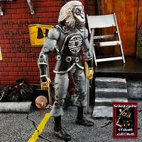 Silver Monkey (DC Universe) Custom Action Figure