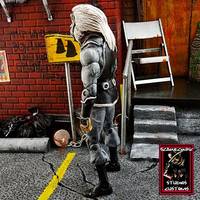 Silver Monkey (DC Universe) Custom Action Figure