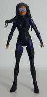 NIGHTSHADE Eve Eden Suicide Squad Member (DC Universe) Custom Action Figure