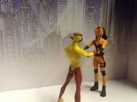 Tigress (Young Justice) Custom Action Figure