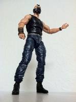 Bane (Batman - Dark Knight Rises) Custom Action Figure