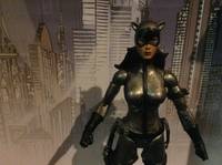 Catwoman ( My Design ) (DC Universe) Custom Action Figure