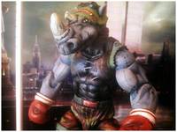 Teenage Mutant Street Fighter Turtles..Balroc-Steady (Teenage Mutant Ninja Turtles) Custom Action Figure