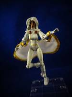 Jim Lees Storm (Marvel Universe) Custom Action Figure
