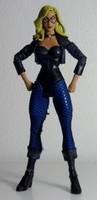 BLACK CANARY I Dinah Drake JSA Member (DC Universe) Custom Action Figure