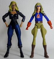 BLACK CANARY I Dinah Drake JSA Member (DC Universe) Custom Action Figure