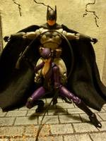 The CATWOMAN (Batman) Custom Action Figure