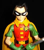 Robin the Boy Wonder (Batman) Custom Action Figure