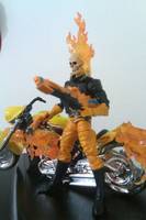 Ghost Rider ... (Ready,a.I.M. and Fire) (Ghost Rider) Custom Action Figure
