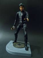 Young Selina Kyle Pre-Catwoman (Batman) Custom Action Figure