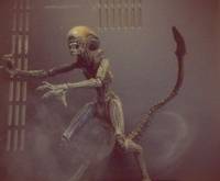 Alien3 Dog Xenomorph (Aliens) Custom Action Figure