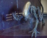 Alien3 Dog Xenomorph (Aliens) Custom Action Figure