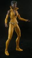 Vixen (DC Universe) Custom Action Figure