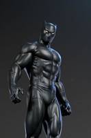 Black Panther (Marvel Universe) Custom Action Figure