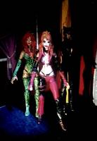 Harley Quinn (Batman) Custom Action Figure