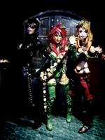 Gotham City Sirens (Batman) Custom Action Figure