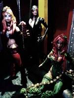 Gotham City Sirens (Batman) Custom Action Figure