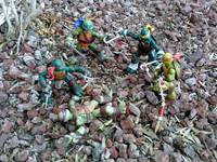 Gio the Fifth Turtle (Teenage Mutant Ninja Turtles) Custom Action Figure