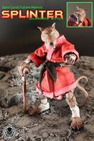 TMNT Classics Splinter (Teenage Mutant Ninja Turtles) Custom Action Figure