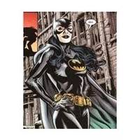Batgirl ( Helena Bertinelli ) (Batman) Custom Action Figure
