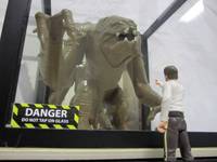 Do Not Tap on the Glass! (Star Wars) Custom Diorama / Playset