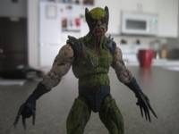 Wolverine (Inner Fury) (Marvel Universe) Custom Action Figure