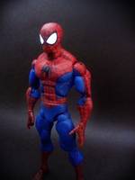 The Amazing Spider-Man (Spider-Man) Custom Action Figure