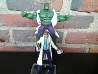 Bruce Banner (Marvel Universe) Custom Action Figure