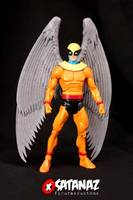 Birdman (Misc) Custom Action Figure